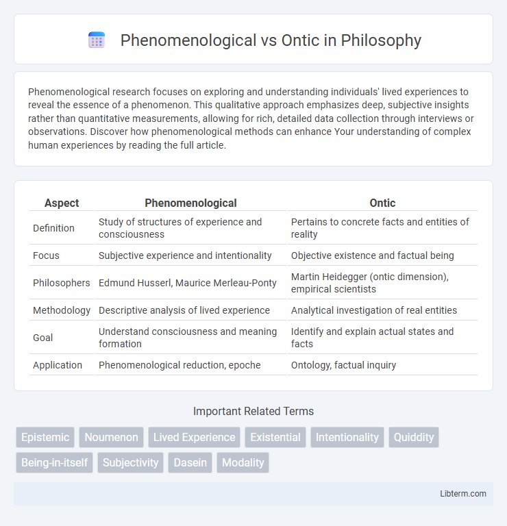 Ontic vs Phenomenological in Philosophy - What is The Difference?