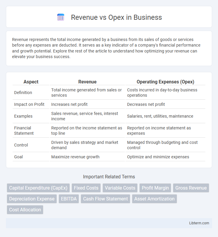Opex vs Revenue in Business - What is The Difference?
