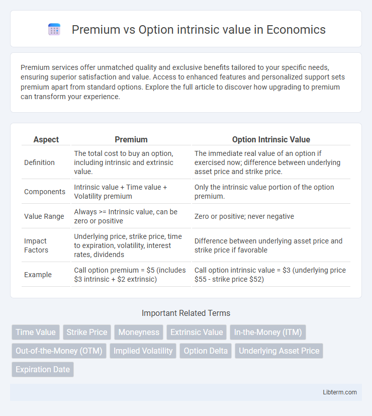Option intrinsic value vs Premium in Economics - What is The Difference?