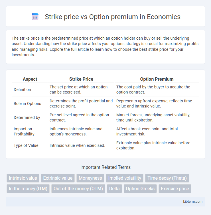Option premium vs Strike price in Economics - What is The Difference?