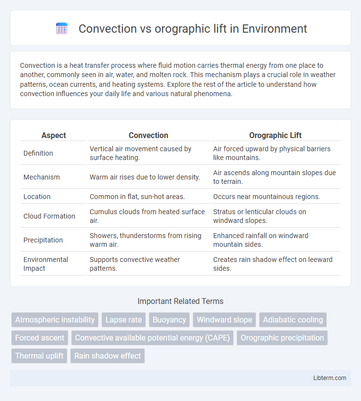 orographic lift vs Convection in Environment - What is The Difference?