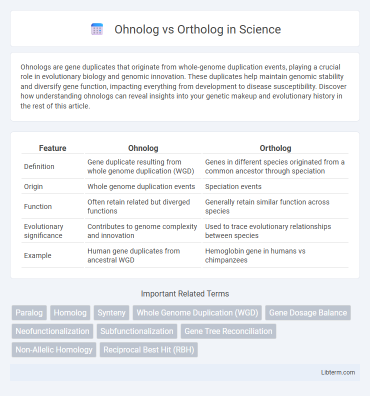 Ortholog vs Ohnolog in Science - What is The Difference?