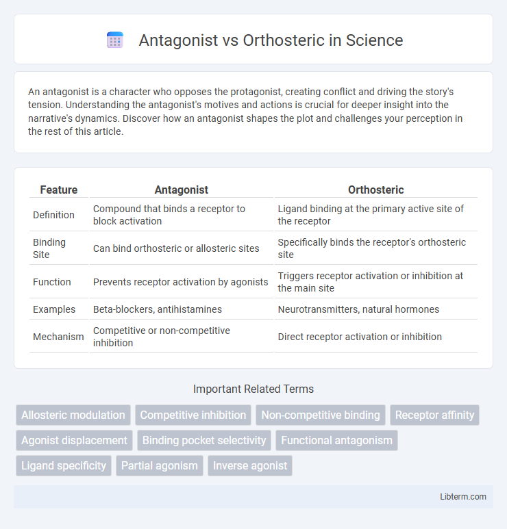 Orthosteric vs Antagonist in Science - What is The Difference?