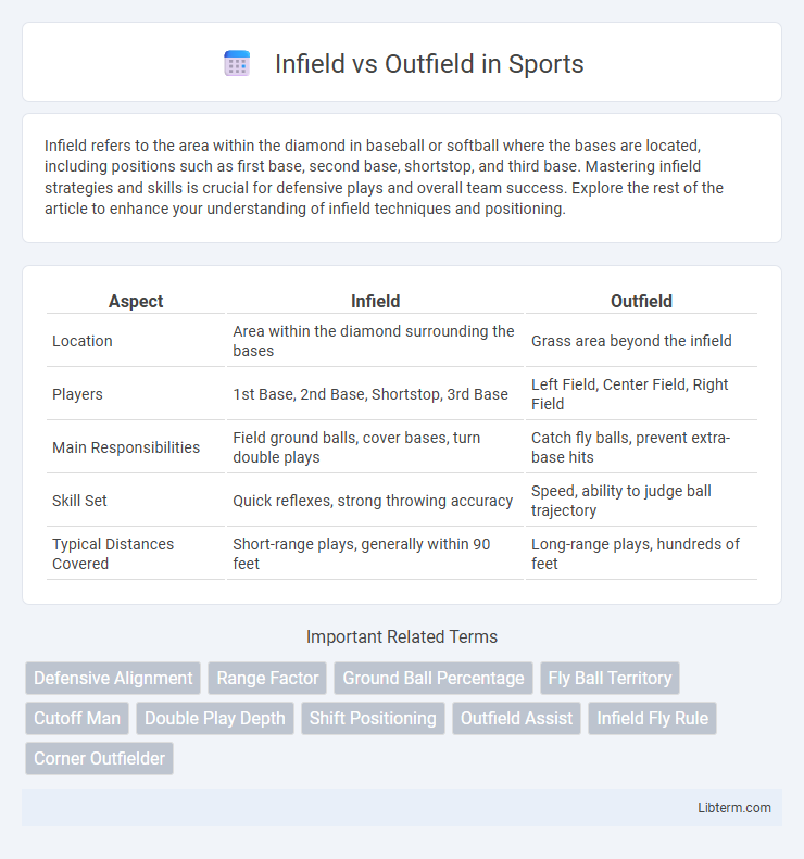 Outfield vs Infield in Sports - What is The Difference?