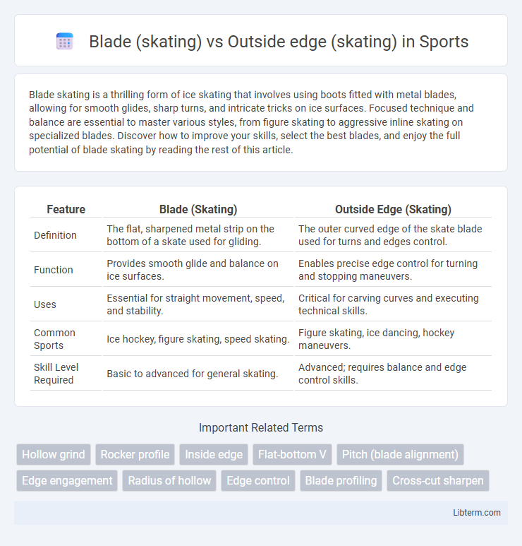 Outside edge (skating) vs Blade (skating) in Sports - What is The Difference?