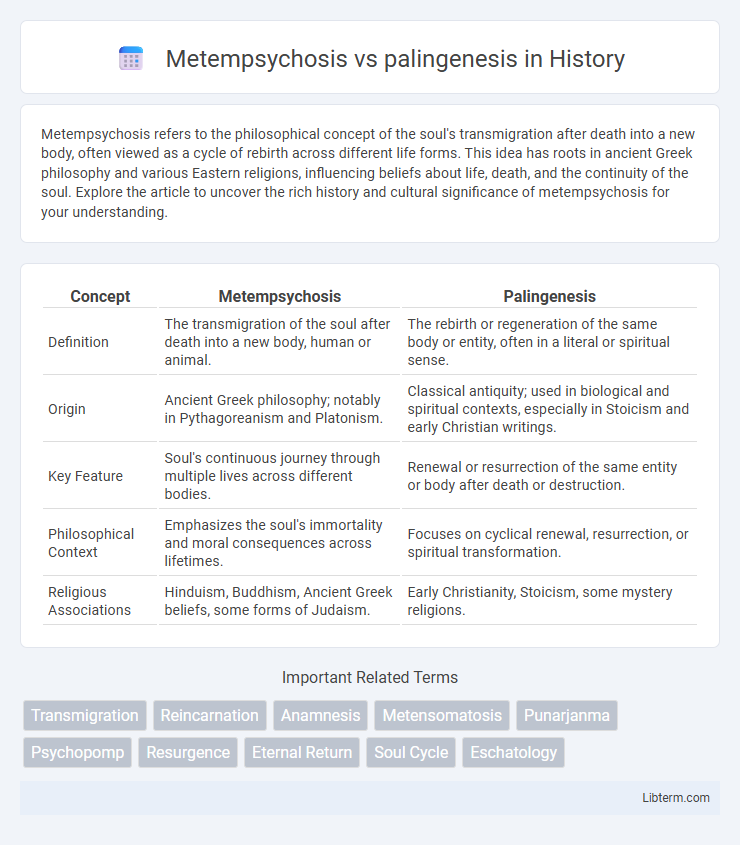 palingenesis vs Metempsychosis in History - What is The Difference?