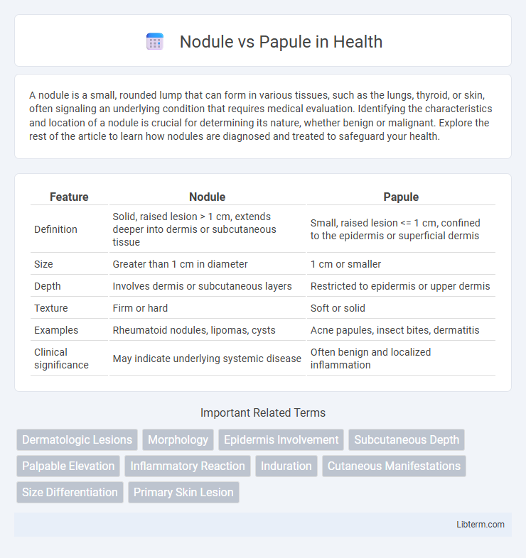 Papule vs Nodule in Health - What is The Difference?