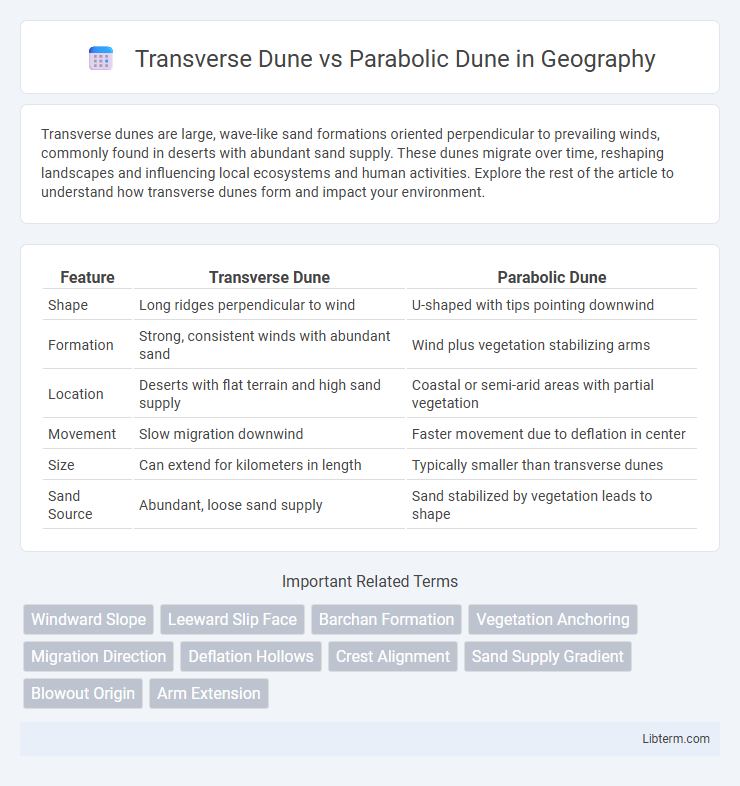 Parabolic Dune vs Transverse Dune in Geography - What is The Difference?