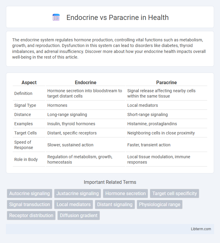 Paracrine vs Endocrine in Health - What is The Difference?