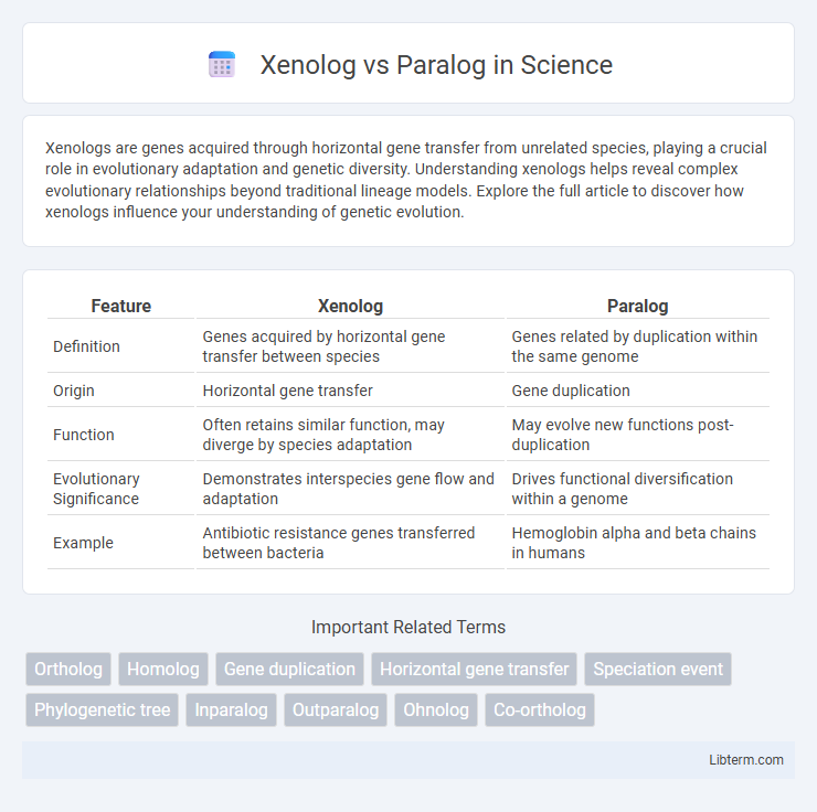Paralog vs Xenolog in Science - What is The Difference?
