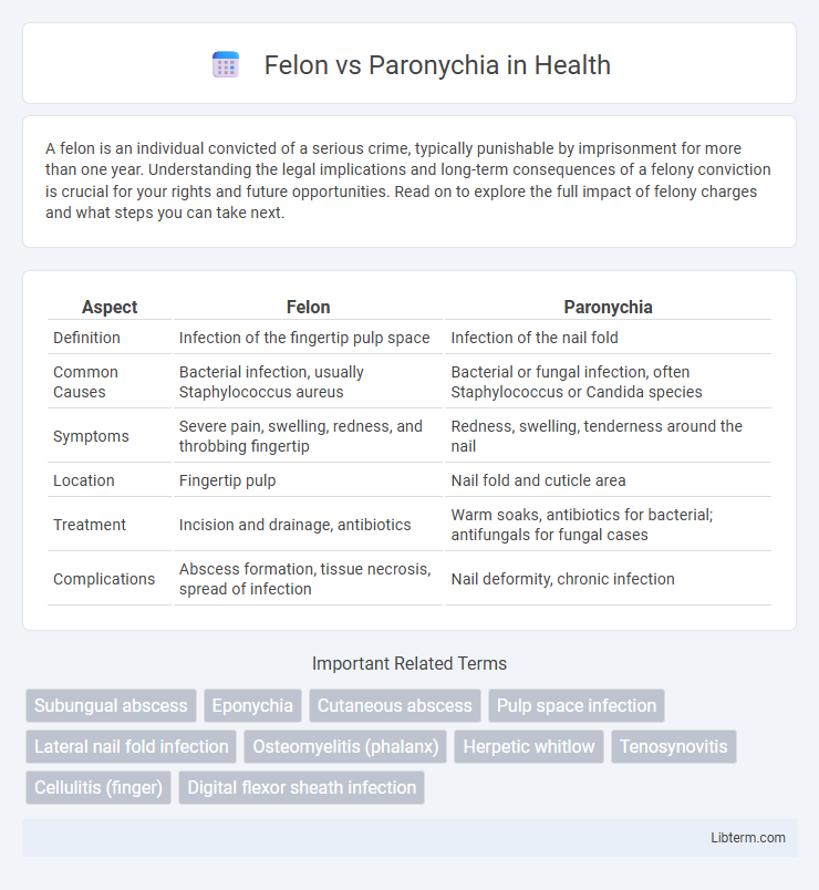Paronychia vs Felon in Health - What is The Difference?