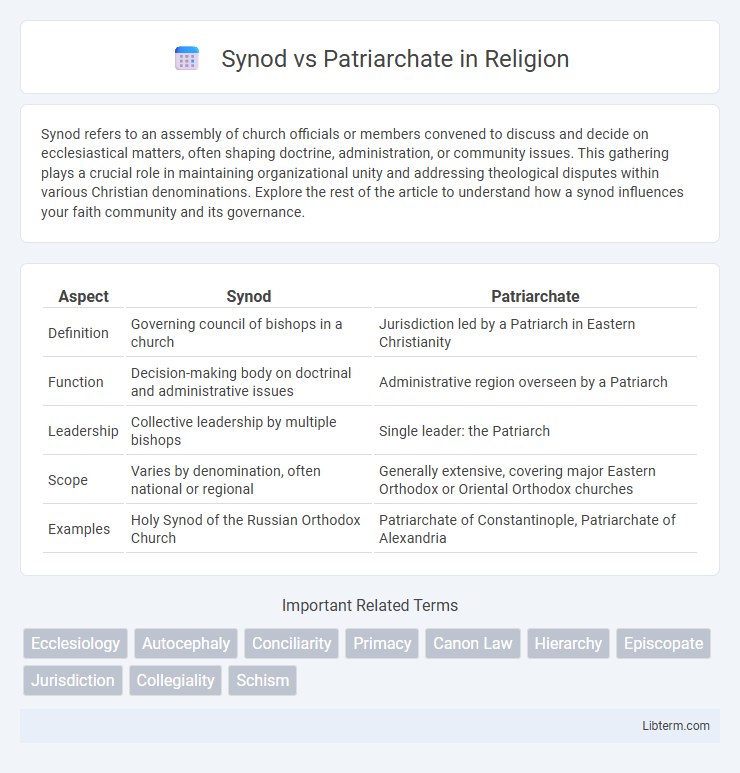 Patriarchate vs Synod in Religion - What is The Difference?