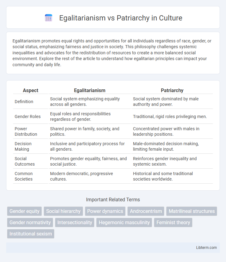 Patriarchy vs Egalitarianism in Culture - What is The Difference?