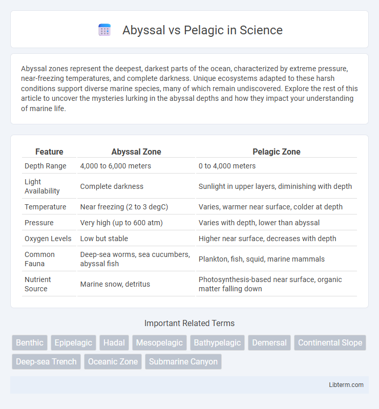 Pelagic vs Abyssal in Science - What is The Difference?