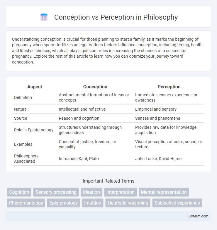 Perception vs Conception in Philosophy - What is The Difference?