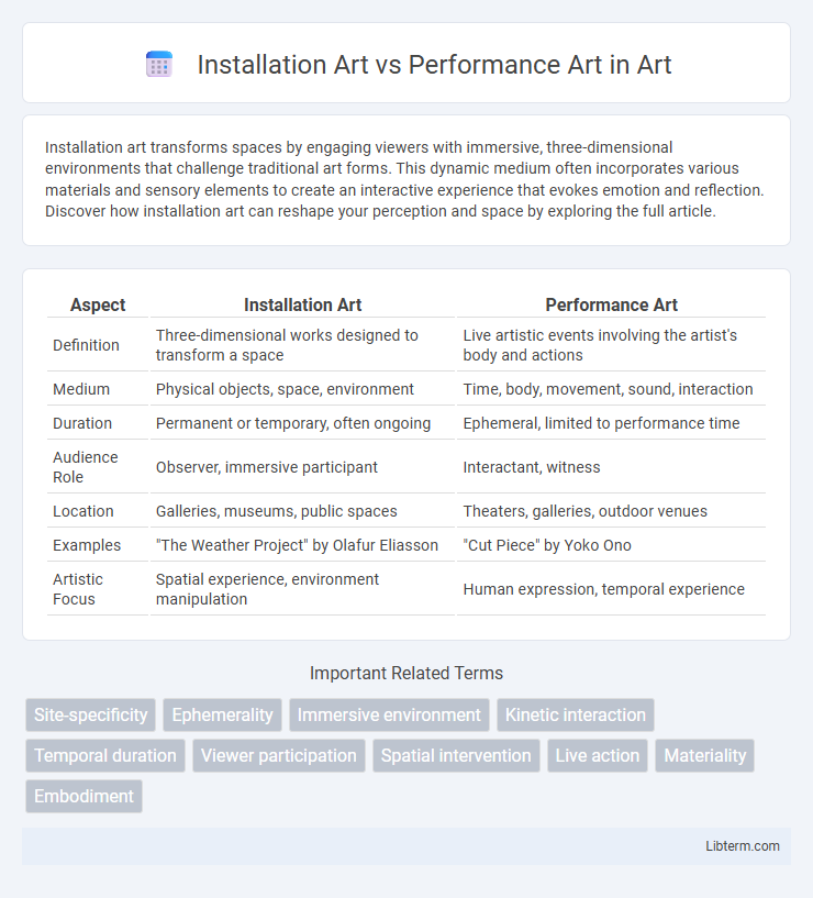 Performance Art vs Installation Art in Art - What is The Difference?