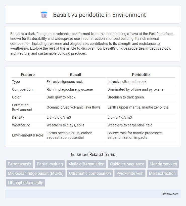 peridotite vs Basalt in Environment - What is The Difference?