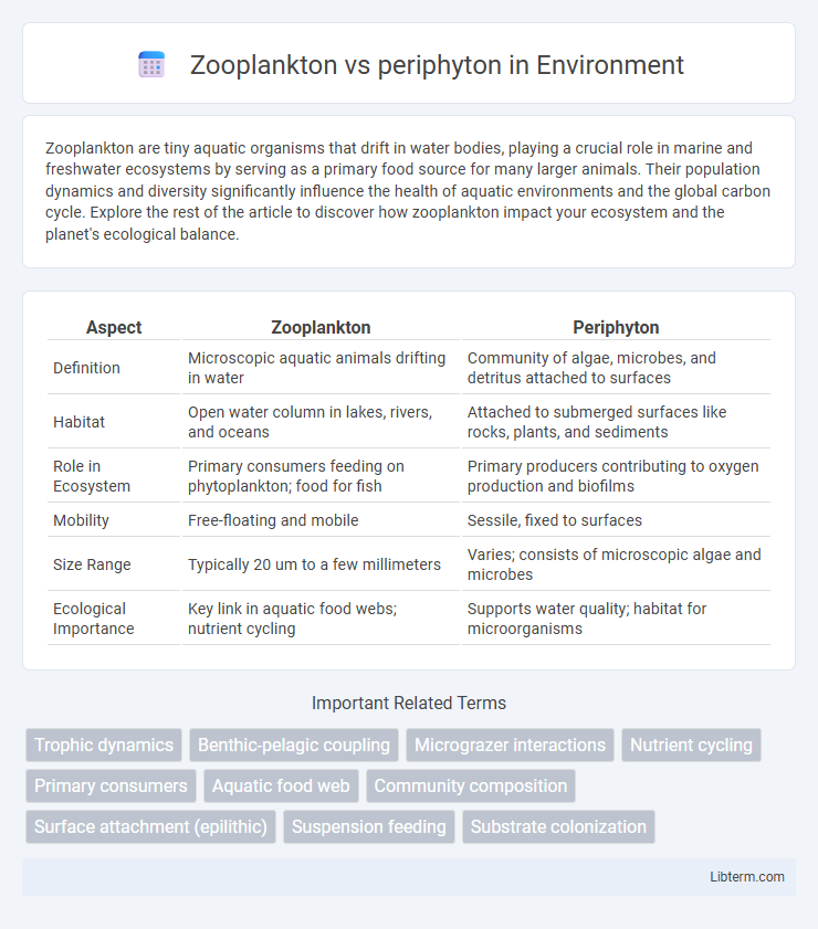 periphyton vs Zooplankton in Environment - What is The Difference?