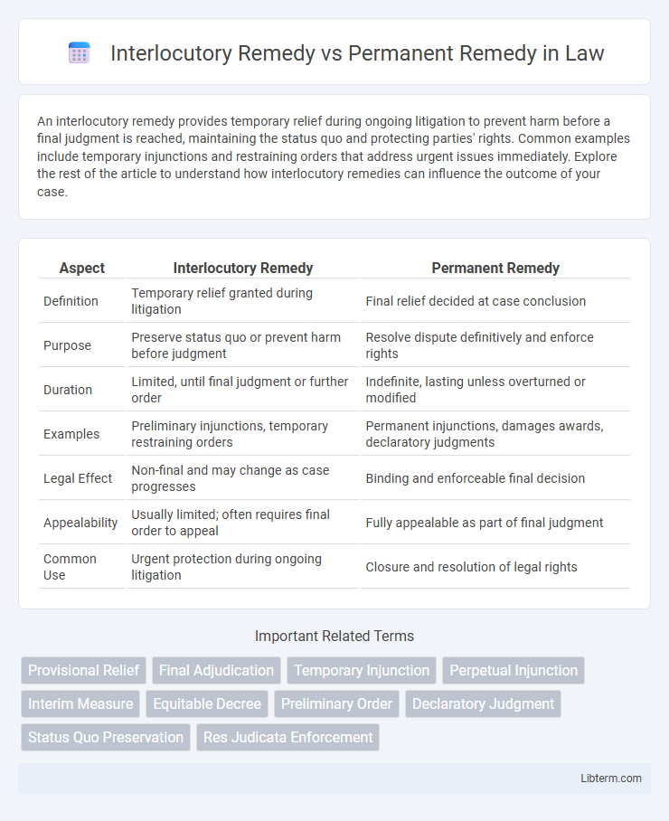 Permanent Remedy vs Interlocutory Remedy in Law - What is The Difference?