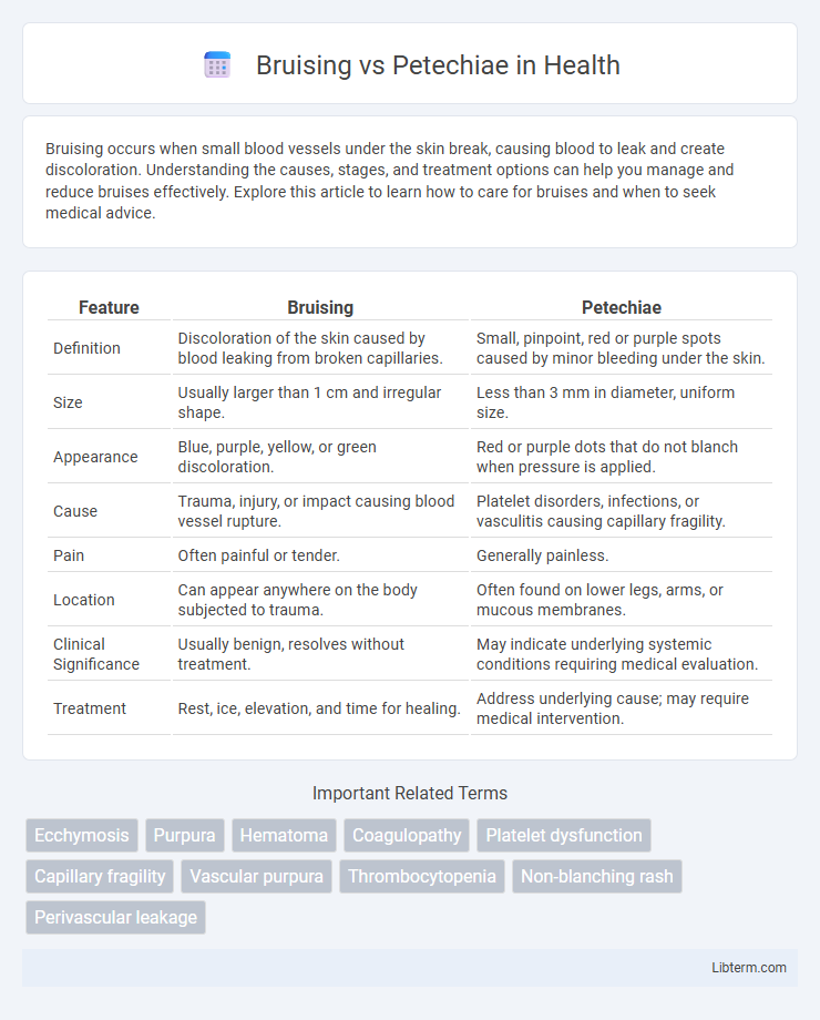 Petechiae vs Bruising in Health - What is The Difference?