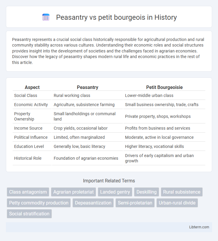 petit bourgeois vs Peasantry in History - What is The Difference?