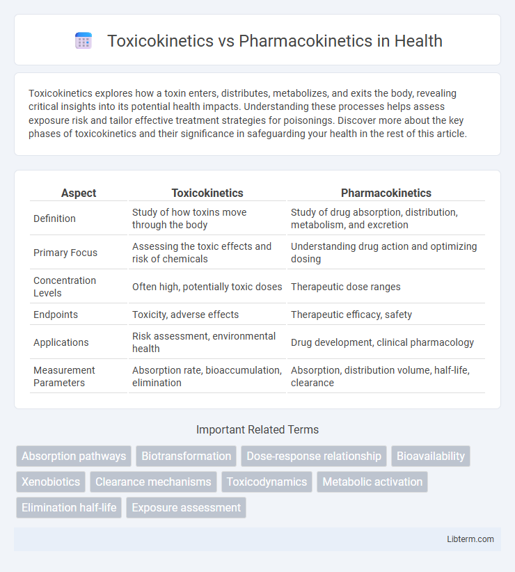Pharmacokinetics vs Toxicokinetics in Health - What is The Difference?