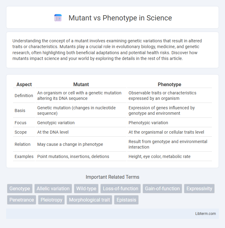 Phenotype vs Mutant in Science - What is The Difference?