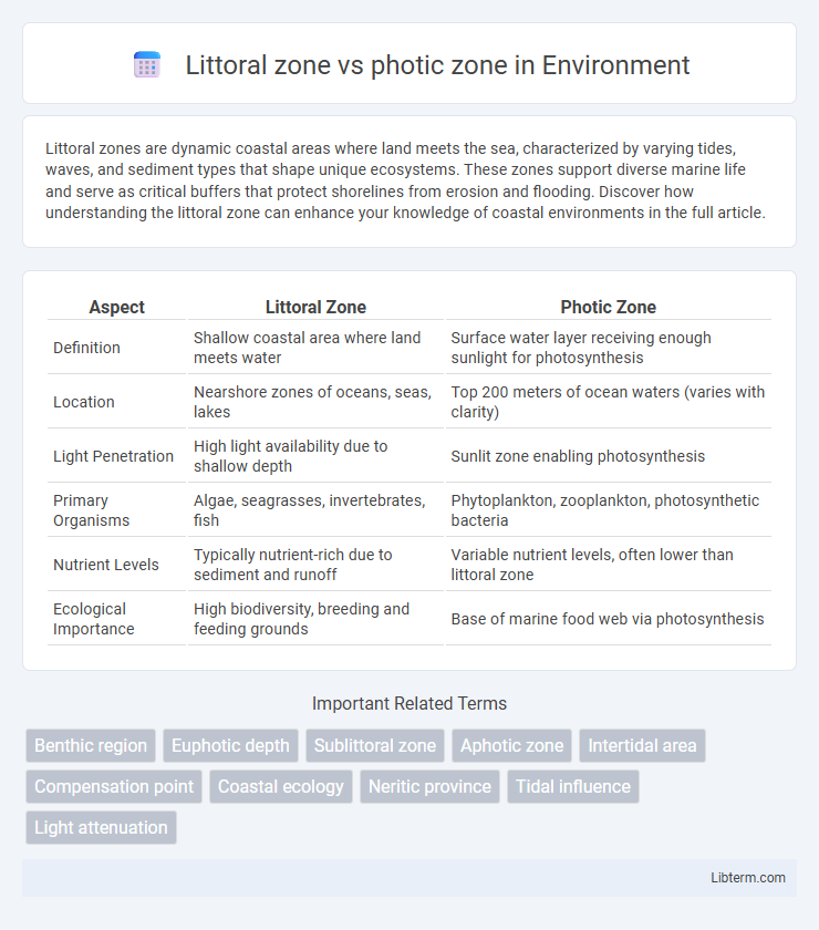 photic zone vs Littoral zone in Environment - What is The Difference?