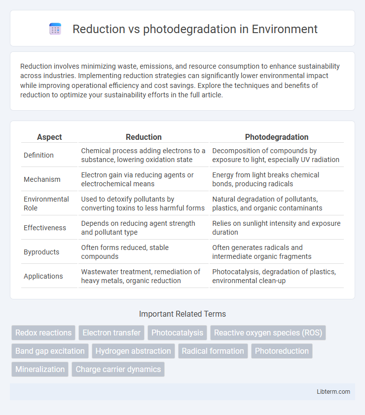 photodegradation vs Reduction in Environment - What is The Difference?