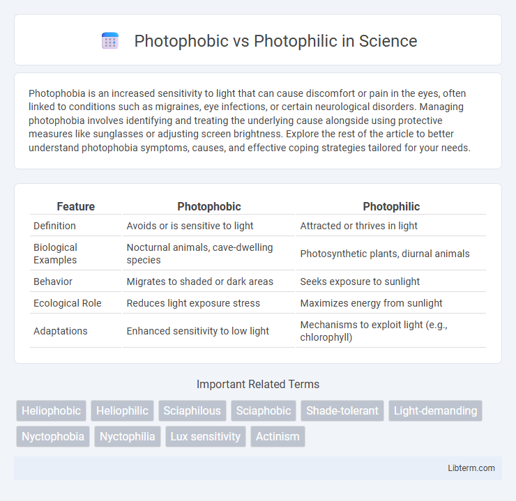 Photophilic vs Photophobic in Science - What is The Difference?