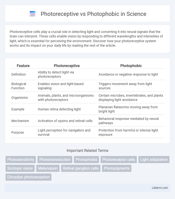 Photophobic vs Photoreceptive in Science - What is The Difference?