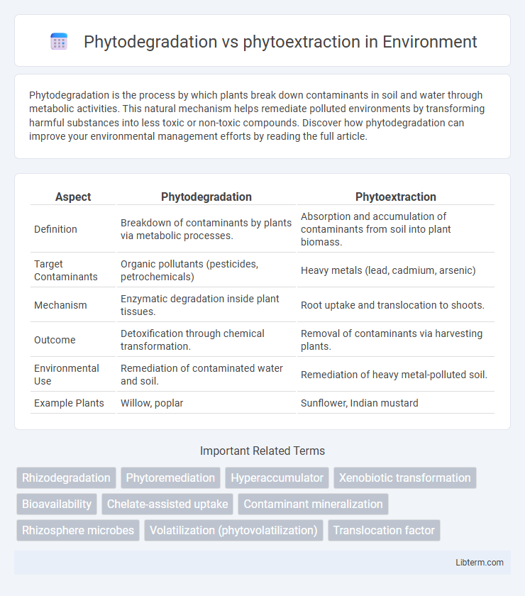 phytoextraction vs Phytodegradation in Environment - What is The Difference?