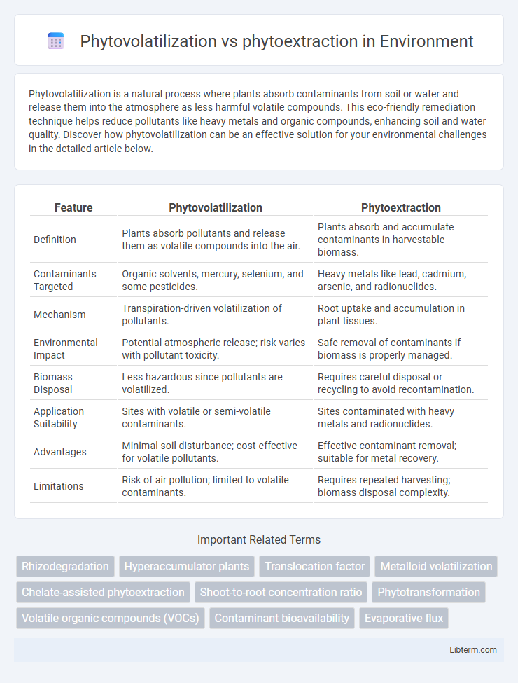 phytoextraction vs Phytovolatilization in Environment - What is The Difference?