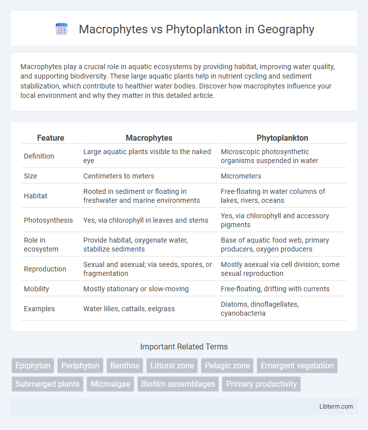 Phytoplankton vs Macrophytes in Geography - What is The Difference?