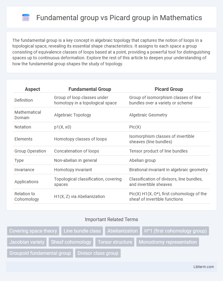 Picard group vs Fundamental group in Mathematics - What is The Difference?