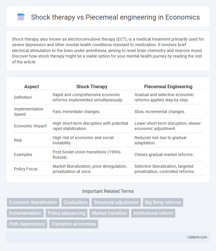 Piecemeal engineering vs Shock therapy in Economics - What is The Difference?