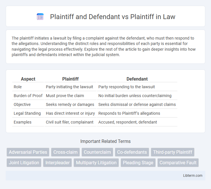 Plaintiff vs Plaintiff and Defendant in Law - What is The Difference?
