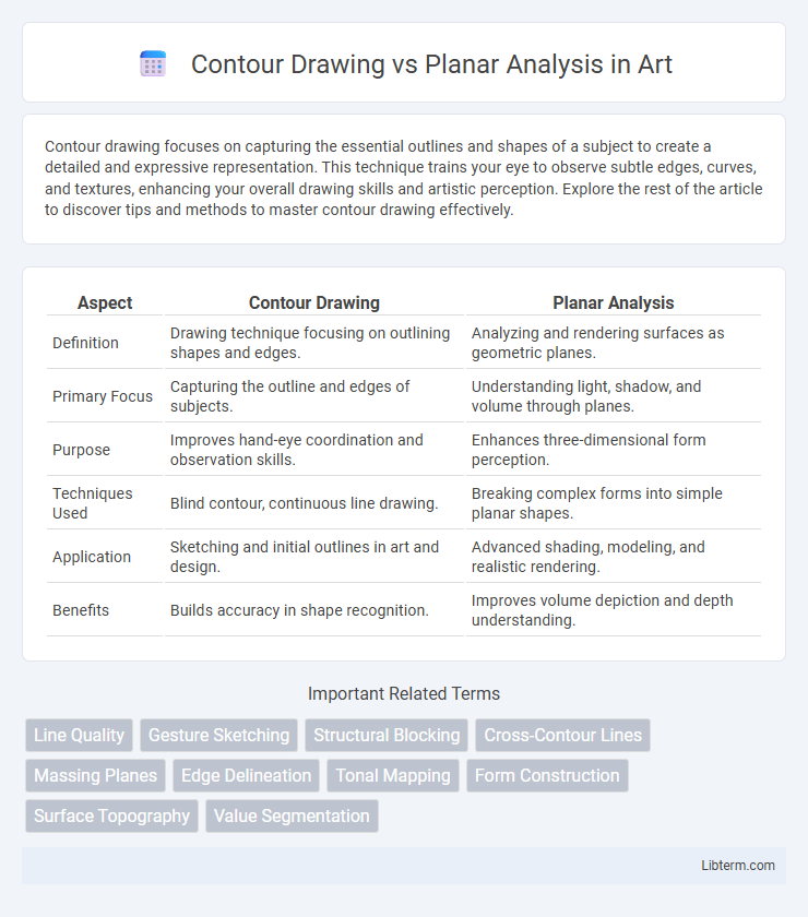 Planar Analysis vs Contour Drawing in Art - What is The Difference?