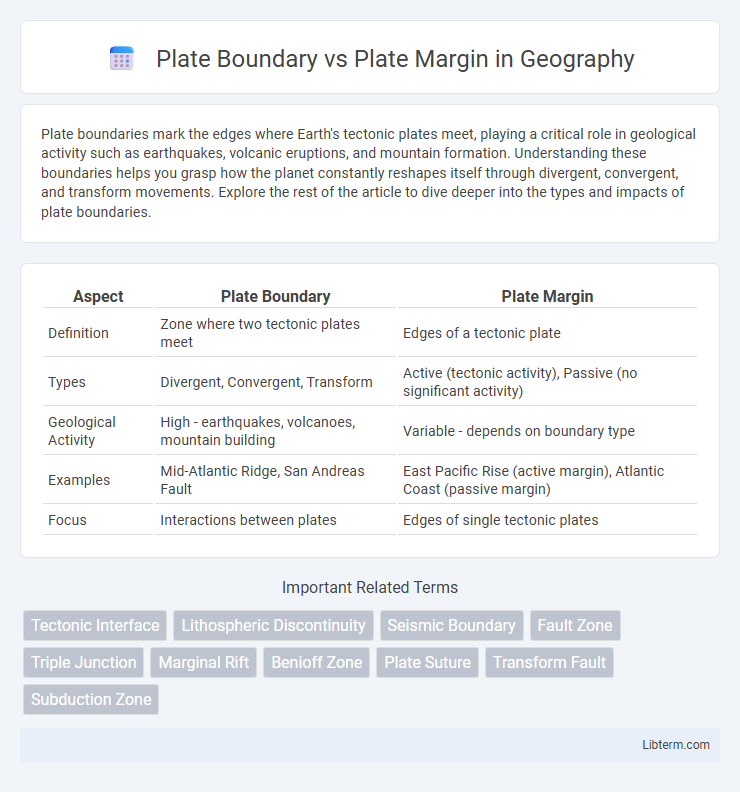 Plate Margin vs Plate Boundary in Geography - What is The Difference?