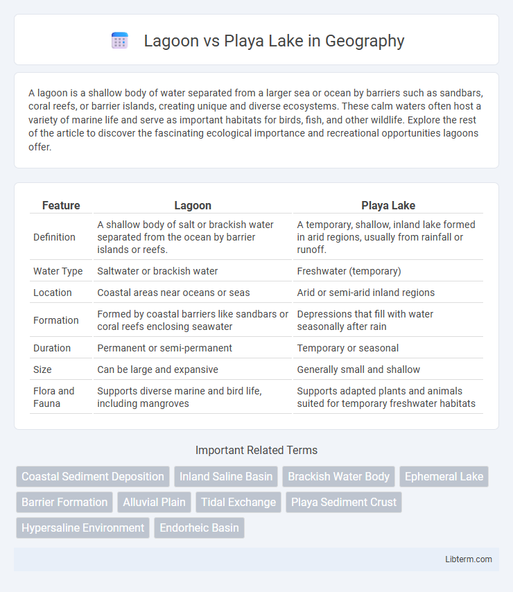 Playa Lake vs Lagoon in Geography - What is The Difference?