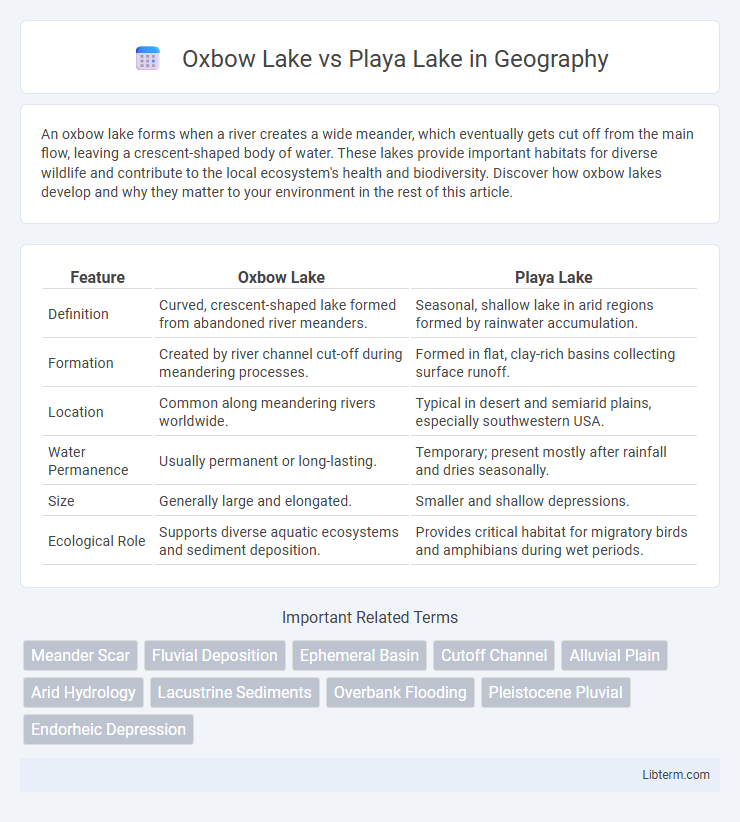 Playa Lake vs Oxbow Lake in Geography - What is The Difference?