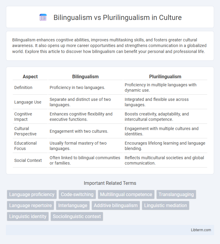Plurilingualism vs Bilingualism in Culture - What is The Difference?