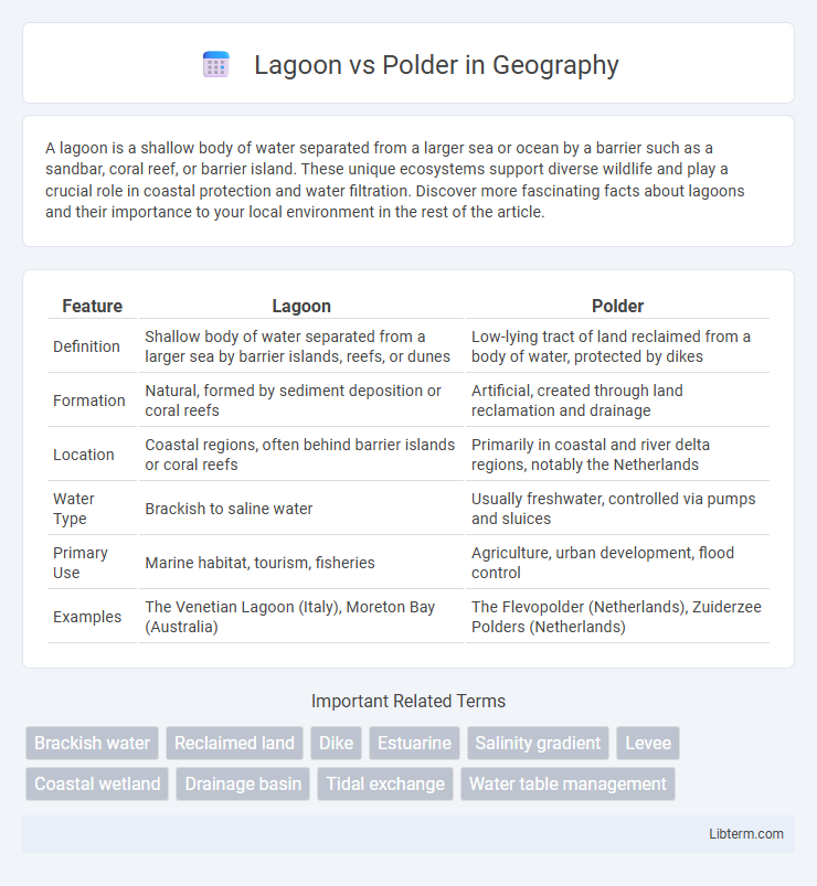Polder vs Lagoon in Geography - What is The Difference?