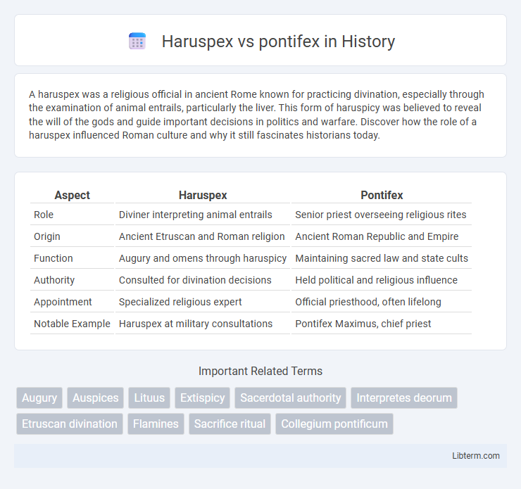 pontifex vs Haruspex in History - What is The Difference?