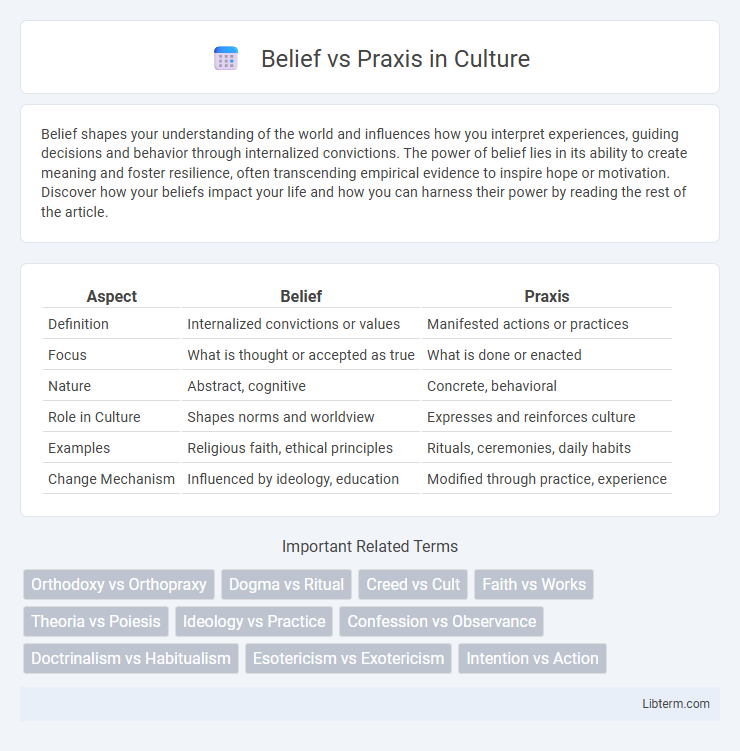 Praxis vs Belief in Culture - What is The Difference?