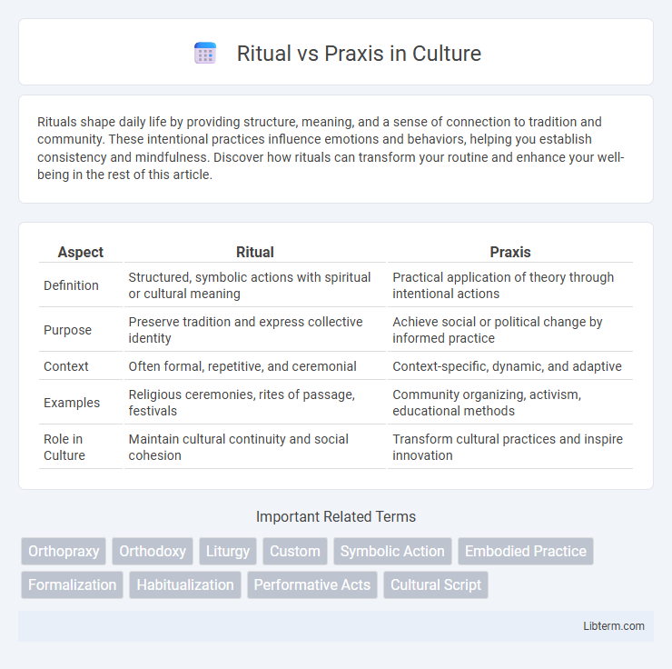 Praxis vs Ritual in Culture - What is The Difference?