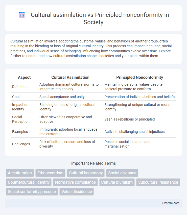 Principled nonconformity vs Cultural assimilation in Society - What is The Difference?