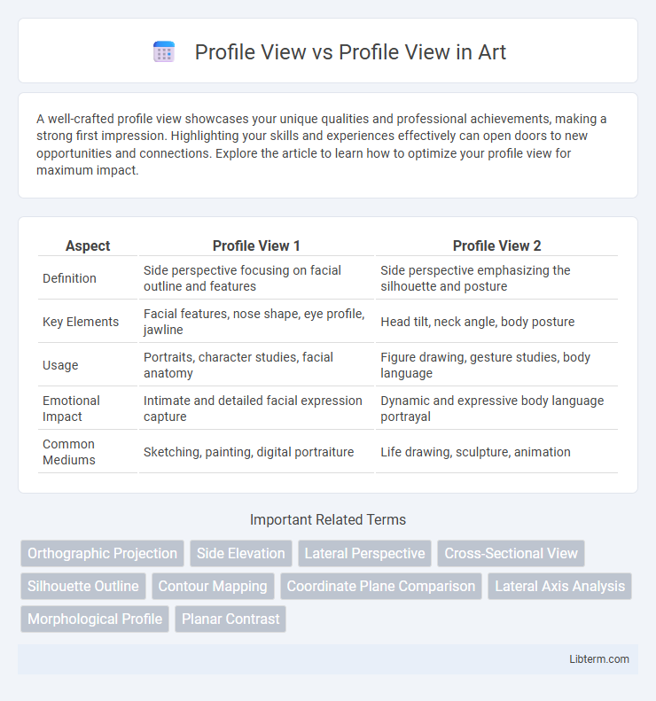 Profile View vs Profile View in Art - What is The Difference?