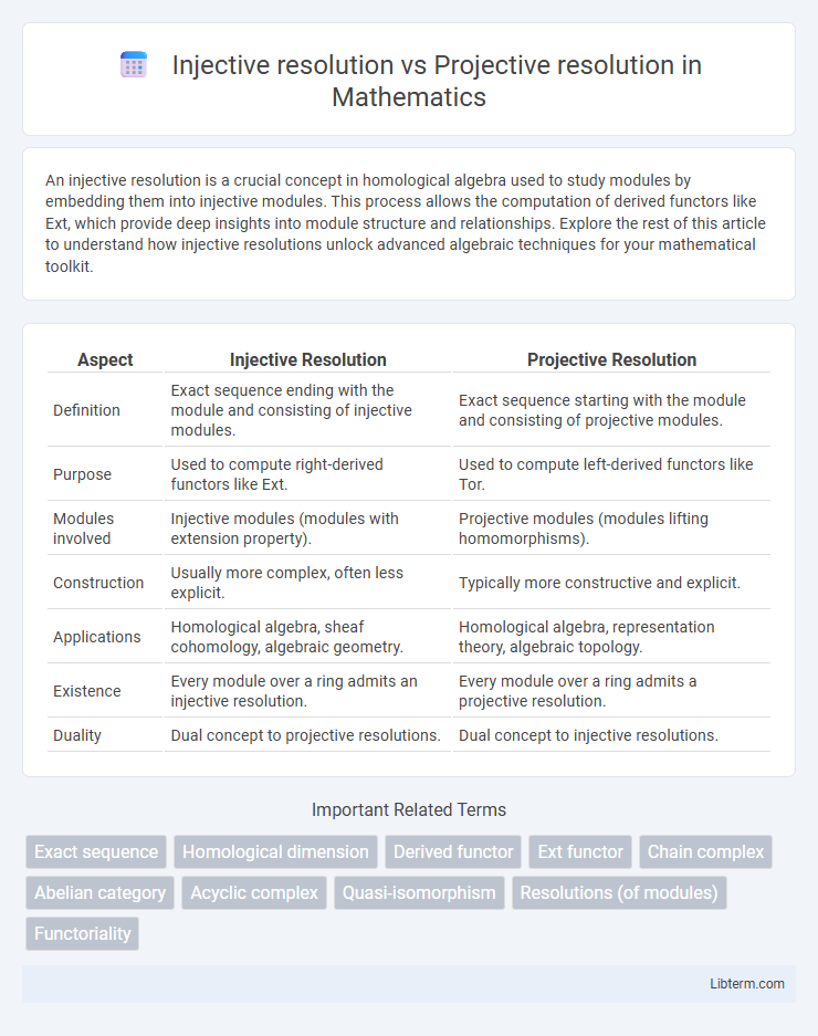 Projective resolution vs Injective resolution in Mathematics - What is The Difference?