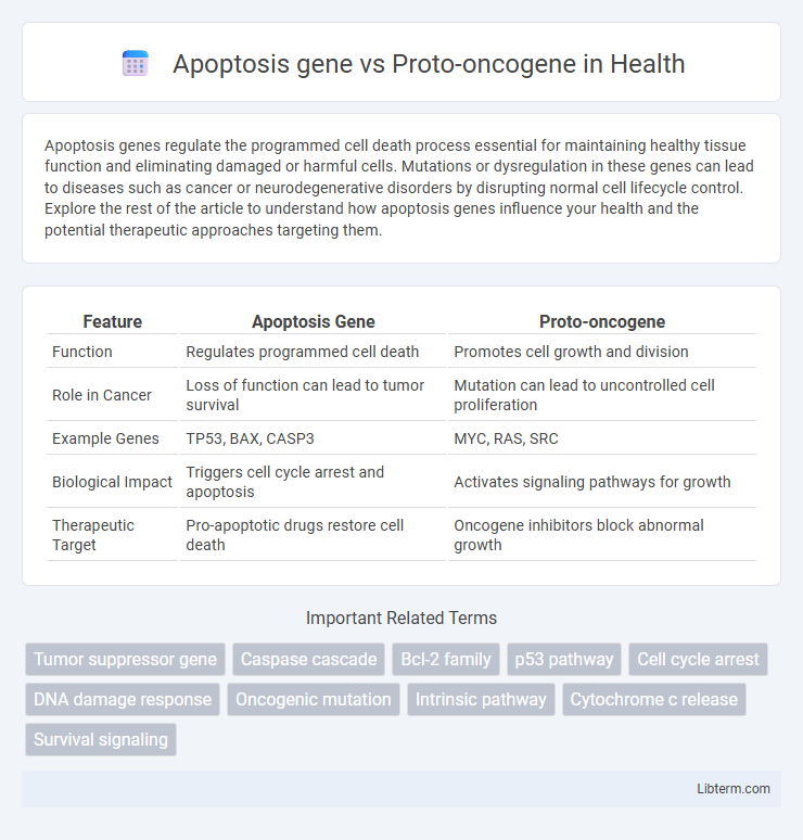 Proto-oncogene vs Apoptosis gene in Health - What is The Difference?